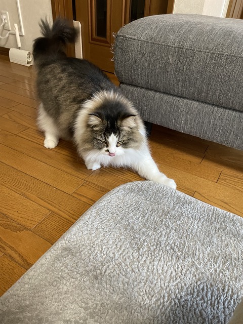 5064AA36-D26D-4DB3-9E5A-44F02FDED558