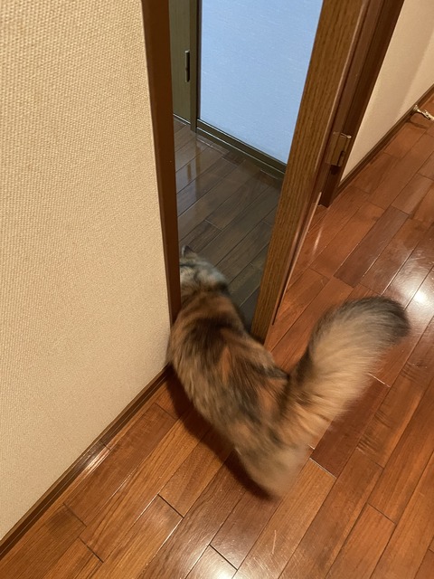 29455B23-BEB9-4938-B3E8-C1D793D196B3