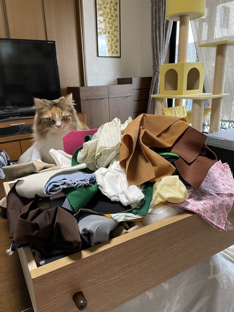 CE1098A5-7CBE-4648-BA77-898F64A9F2EE