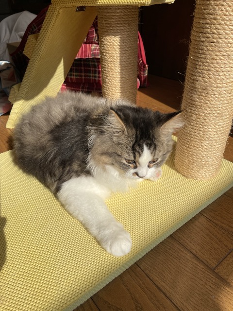 B4E5D71B-8613-4421-A468-63986353BA7D