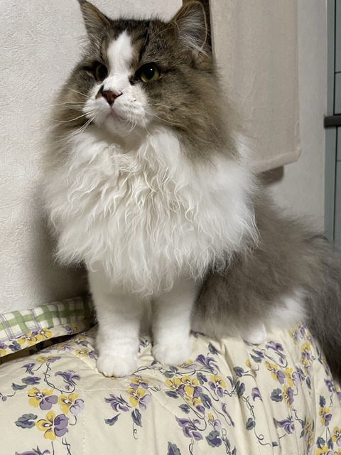 62976529-9326-4056-A3FD-122520149AE7