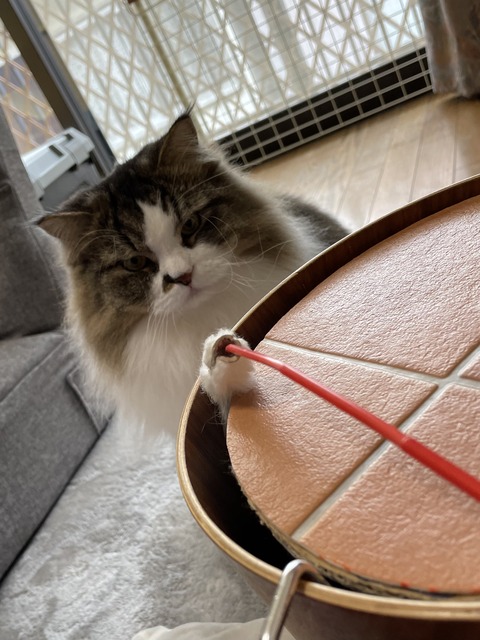 48B9876F-3312-4600-AFB0-EF3414C294AE