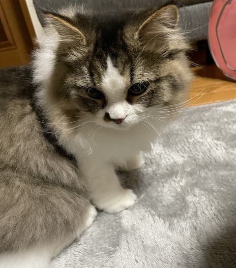 7CC61307-8DB6-4B1F-B474-3F6BEE827408