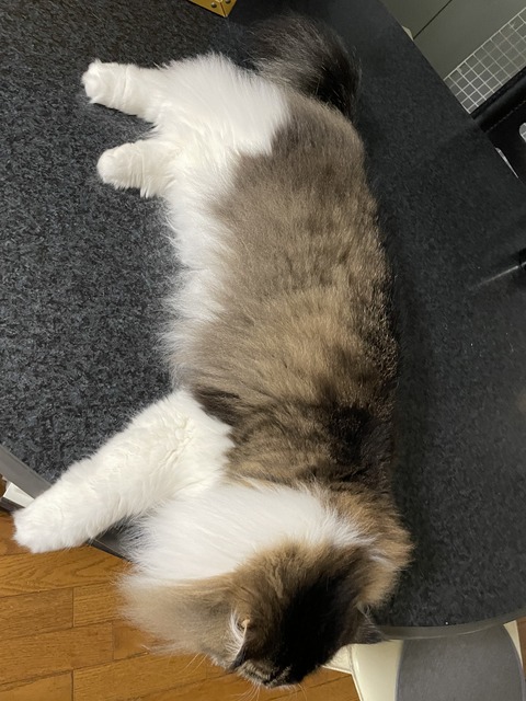 672FE4E7-DF11-4915-821E-379841936FD0