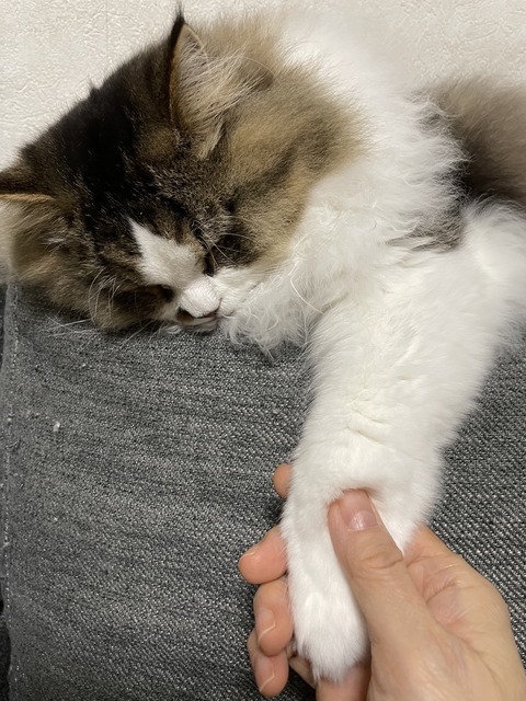 37A2621C-D8FE-45D2-95C4-CE8F035CC0D3