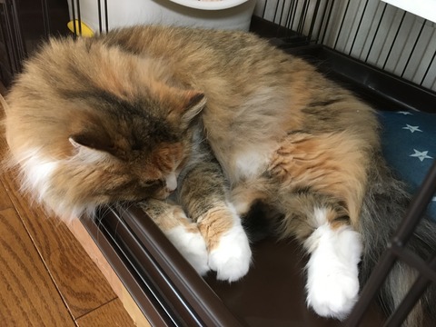 6F63B0DE-91A7-4B33-BE71-F172358D6D29