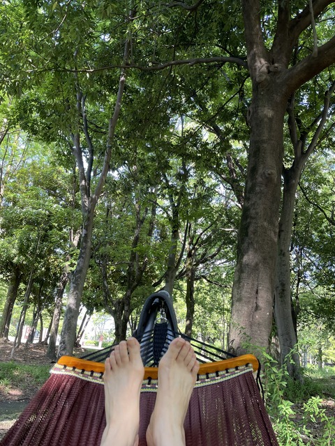 2A4F62CD-5999-4F16-8CE9-707AD12B31DF