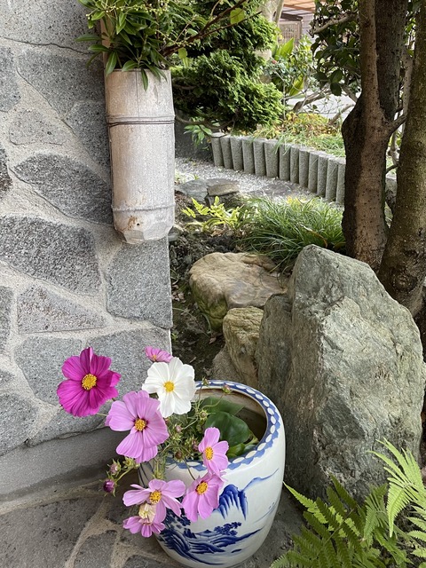 402128B9-2CBC-432B-9F44-20FF40230E4A