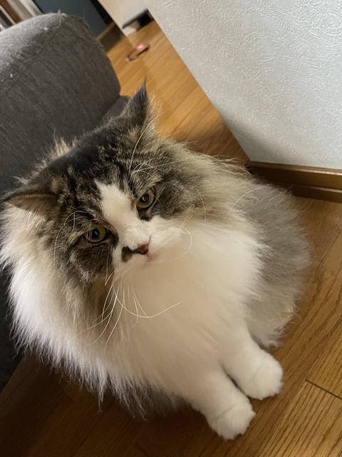 058B7E6A-98B8-4E2A-B241-DC8ACDCA205A