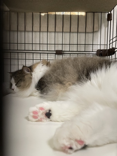 861182F5-82C2-403C-A9C7-7D2F148BC175