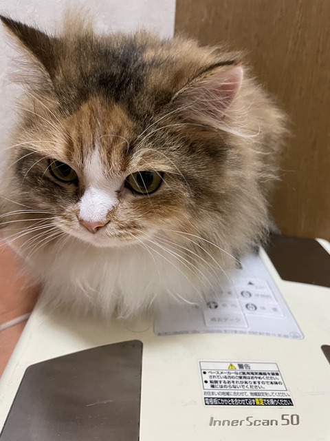 27833A32-E85D-47E5-9C7B-FF5198002A79