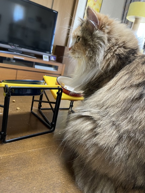 4D8DAFA0-7ADB-4468-8CDD-B9E33F084B2E