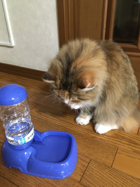 134EC897-12B3-484E-90ED-A046E2CCD16B