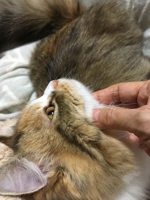 5C1F89A7-9D1F-4AD5-9E8E-67F4E5451914