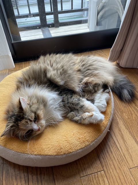 1AFEB8CA-E03B-45CE-A96C-440643D43205