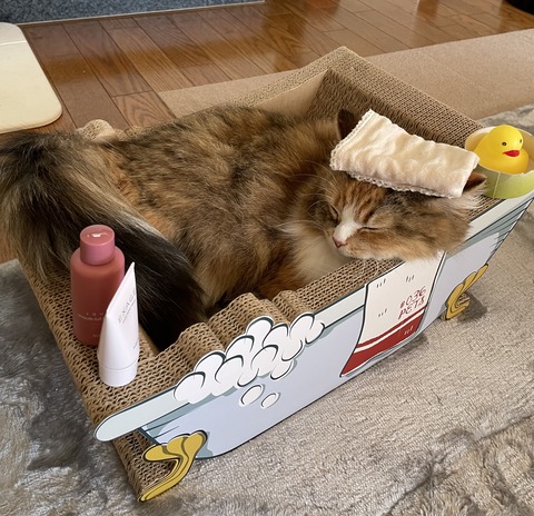 DC68A3E6-D446-4393-96A9-6377E47B5A37