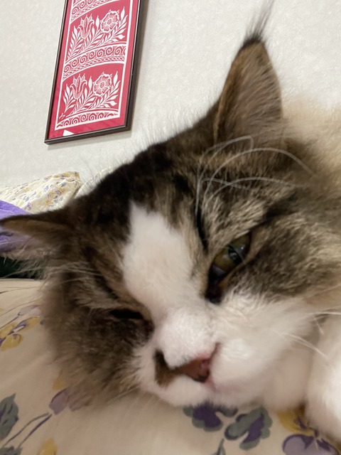 2B139D3F-FAB6-432F-932F-01A7164AA47F