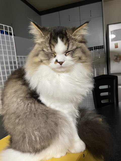 9FA54903-08F5-468A-817B-BB3B9E072887