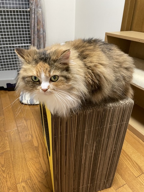 0049B150-B793-4E47-BA81-8660CD4968B7