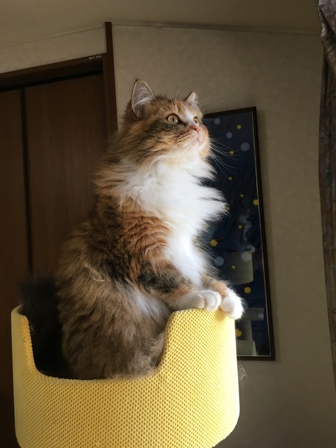 B8E686A7-F5F8-4DE9-8001-2F703AFB77B7