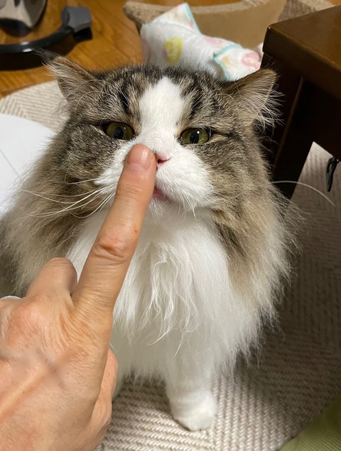 C1BE4821-B559-4A52-BA03-92F6BBE8B819