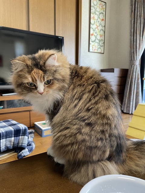 7FE92865-F143-4184-8875-92A73E02E318