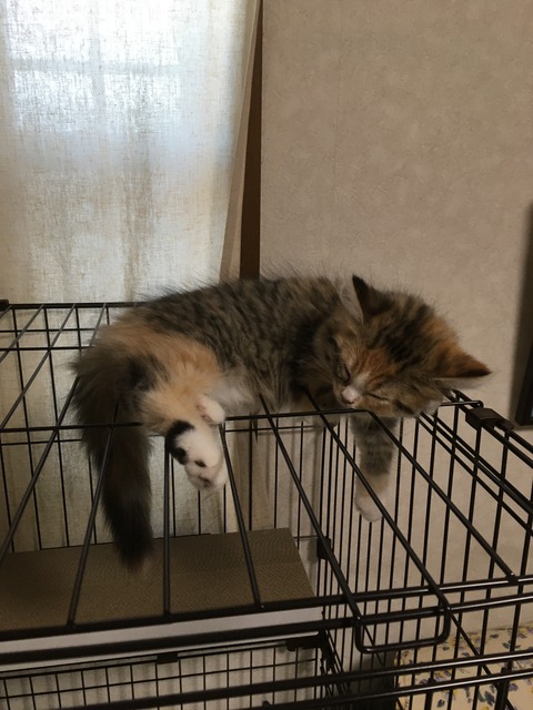 A0D157C3-CF2B-4507-8A00-71471BC839F0