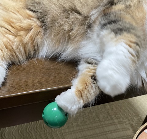 3586E5E0-8BC9-4502-8859-AAFF823365FC