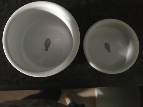 31E31B68-719E-4274-B631-20A3E31B716C