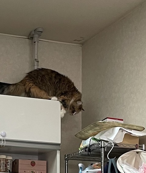 70B54D4E-4526-4E60-84ED-4998592DAB95