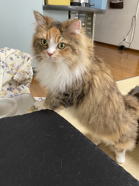 2000226A-3480-4CF6-8D90-A649B0879E57