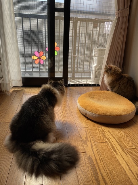 B6BFD8CC-FF90-469F-8181-DB3145297609