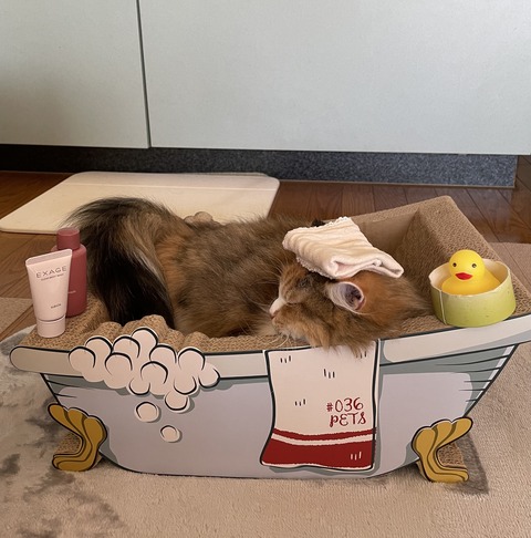 8933C65D-5E6D-4BE1-BB66-0B24A15DEDB0