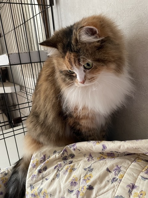 38A88A75-AF63-44C8-8D92-0786F6C21268