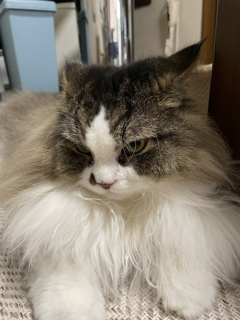 0F933071-863E-4960-A701-B425A9E23E96