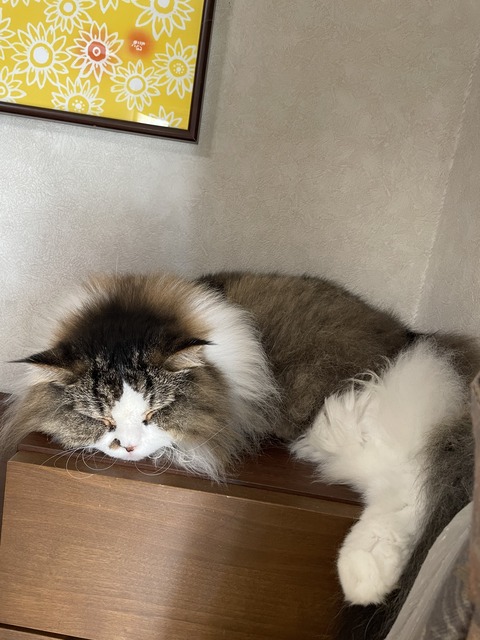 C26C31D2-9F5F-4D0D-84AF-9CD140950B39