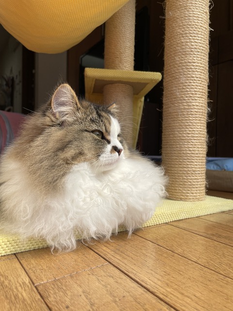 B7555284-0F3F-480E-86DB-A9D225AE090F