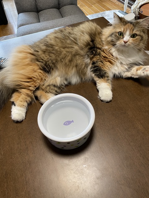 85E8883A-3558-42AD-B0CB-5AA5DEDFFF20