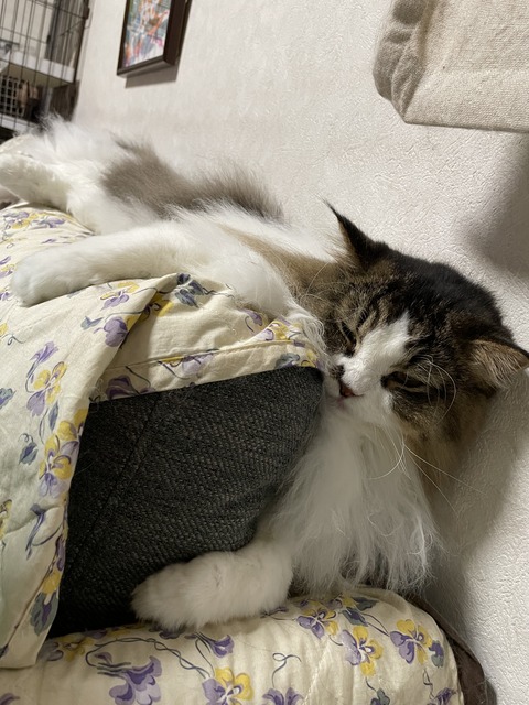 1906CDC0-4A1A-40E7-BBB9-1178451A7C9F