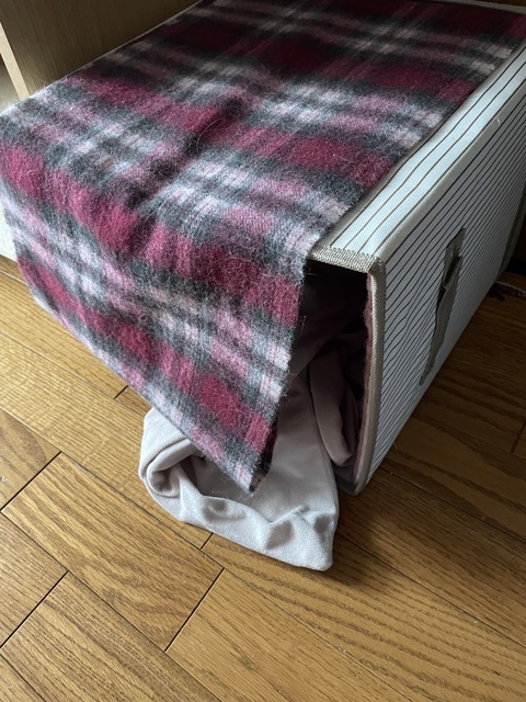 00ECAE38-C736-414A-B2DB-D0151340388F