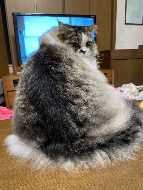 7E17A613-50D7-446D-8619-FBA5C3525DBC