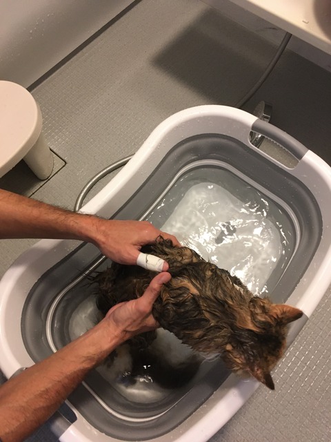 EBC6E2CF-158F-4A50-AB9C-F3ABCE24AA92