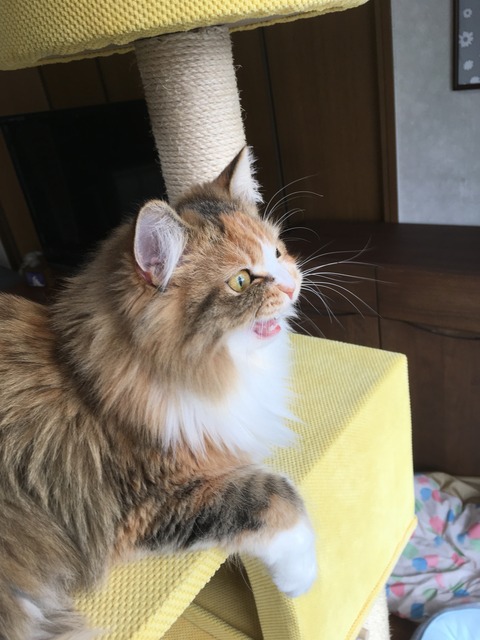 80D2B710-B2F5-4733-9EBD-183D9043C53E