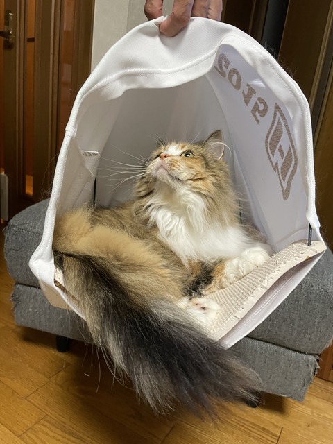 FE560255-98F1-4B0B-ACDD-EA1A122BAA39