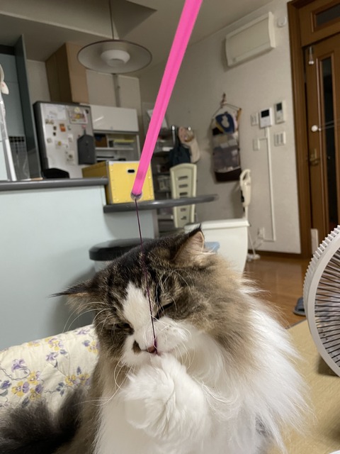 D2C36AD4-23FB-4B6B-8971-1489156FA1CE