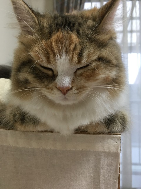 74908C8D-5A39-4139-93B8-4035CC07ACF3