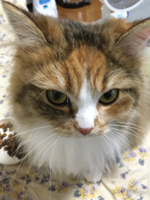 95B88F1E-DE16-49DB-947A-3A97E4DDD52F