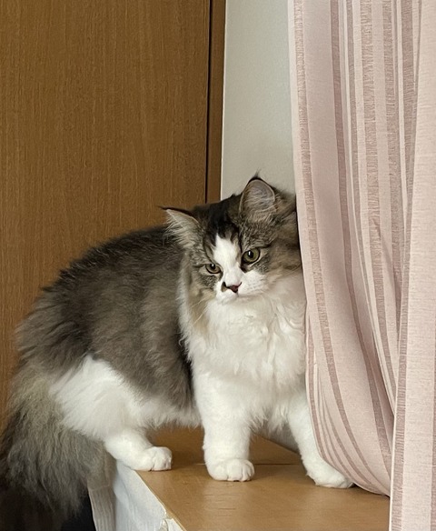 0D95D25D-2E02-4C0C-BA07-72567E818AA9