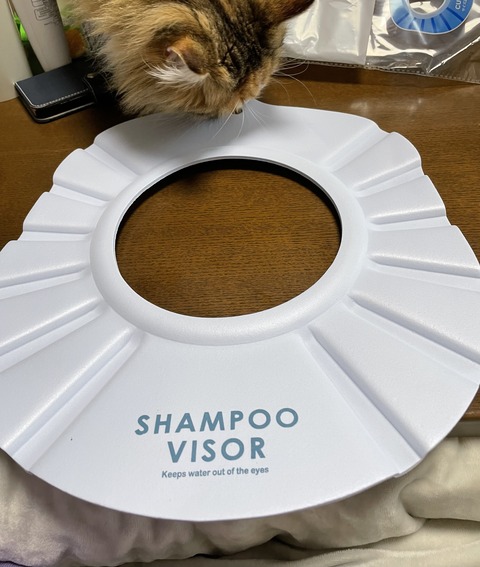 8BE38130-659A-4044-ACE4-7E8615A4A944