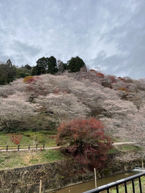 C1CDAAAA-488B-446D-92C1-B3010DEEBF2E